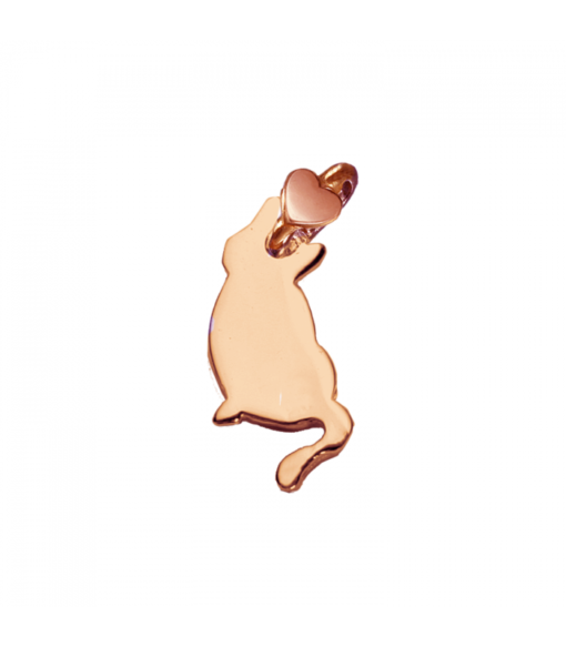A201K_Gatto_jpg